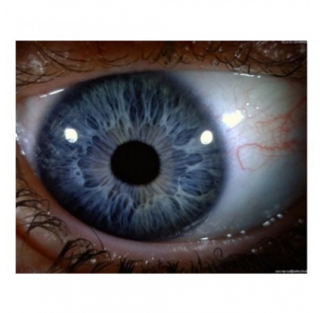 دستگاه معاینه چشم دیجیتال دینولایت AM4113-RUT